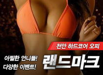 [천안오피-랜드마크]