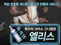 [엘리스-고니팀장]