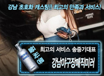 [강남야구장매직미러-송중기대표]