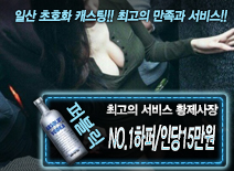 [NO.1하퍼/인당15만원-황제사장]