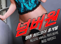 [평촌휴게텔-넘버원]