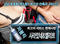 [사라있네&엘리트-현재사장]